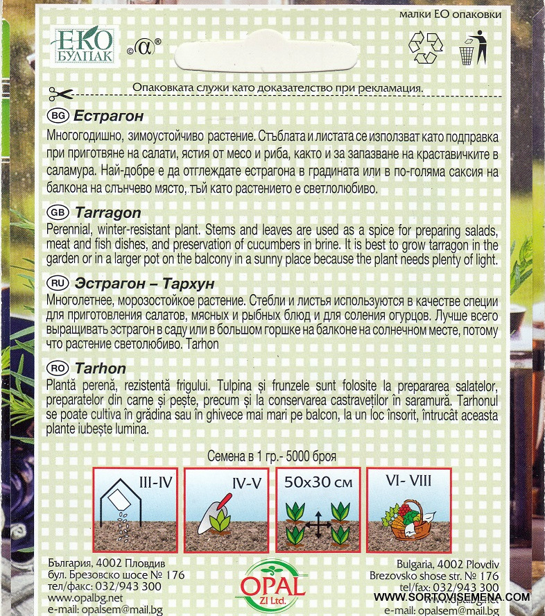 Сортови семена за Естрагон (Artemisia dracunculus)– Ароматният крал на подправките