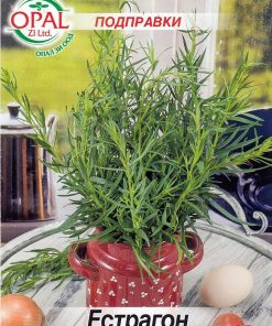 Сортови семена за Естрагон (Artemisia dracunculus)– Ароматният крал на подправките