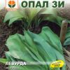 Сортови семена за Левурда – Див чесън с лечебна сила