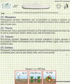 Сортови семена за Мащерка (Бабина душица) – Ароматът на природата (Thymus vulgaris)