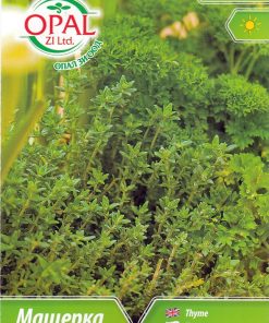 Сортови семена за Мащерка (Бабина душица) – Ароматът на природата (Thymus vulgaris)