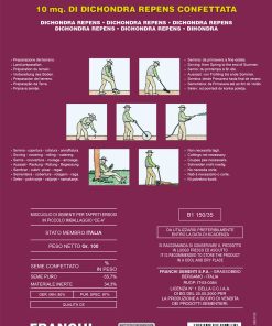Купете онлайн качествени Сортови семена за Дихондра (Dichondra repens) от sortovisemena.com.