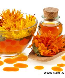 Семена за Медицински невен – Природният лечител от Сортови семена