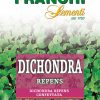 Купете онлайн качествени Сортови семена за Дихондра (Dichondra repens) от sortovisemena.com.