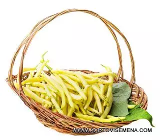 Купете онлайн качествени сортови семена за Фасул Голд от sortovisemena.com.
