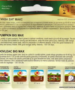 Семена за гигантска тиква Биг Макс от Флориян – гарантирано качество от sortovisemena.com.