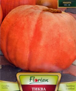 Семена за гигантска тиква Биг Макс от Флориян – гарантирано качество от sortovisemena.com.