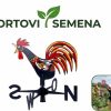Ветропоказател тип петел от качествена пластмаса с индикатор за посока на вятъра – sortovisemena.com.