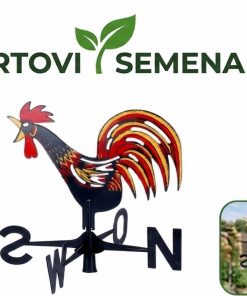 Ветропоказател тип петел от качествена пластмаса с индикатор за посока на вятъра – sortovisemena.com.